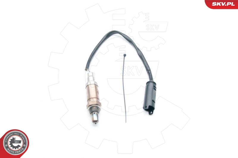 Oxygen Sensor